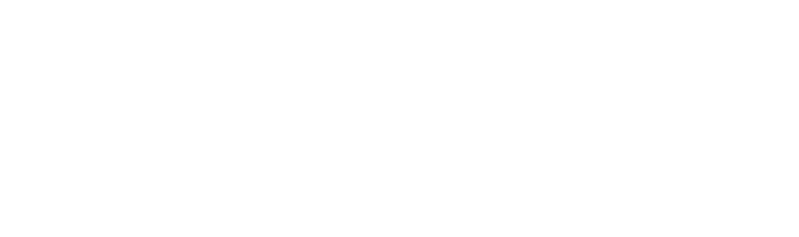 Shopify Premium Logo